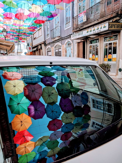 車のリアガラスに反射した傘